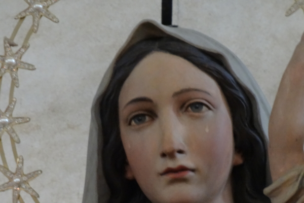 Witnesses Claim Miracle As Statue Of Virgin Mary Appears To Blink Eyes In United States And 2739