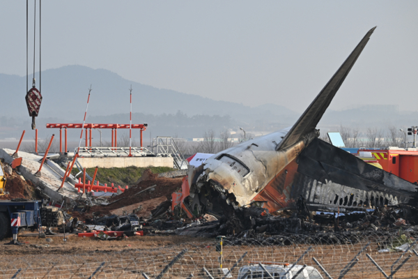 Preliminary Report of Jeju Air Crash in South Korea: Bird remains found in both engines