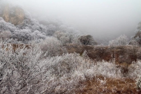 Freezing and Frozen: Guangdong’s Lowest Temperature Below 0℃ for Two Consecutive Days