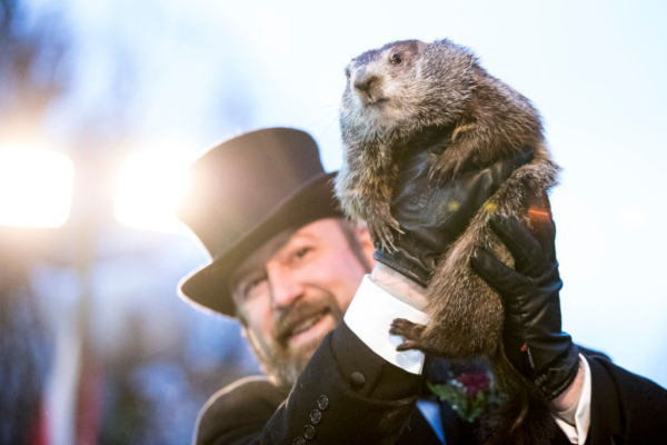 Staten Island Weekend Activities: Bird Watching Tour and Groundhog Day Celebration