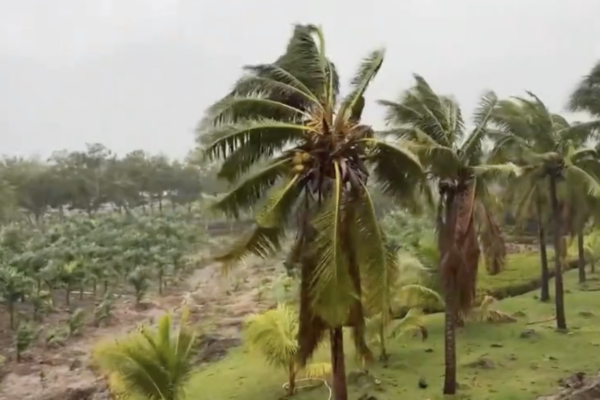Typhoon “Butterfly” makes landfall again on Guangdong coast, Southern China braces for strong storm.