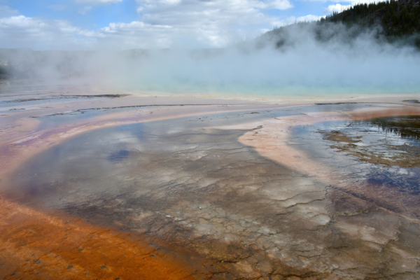 Bison Falls into Yellowstone’s Scorching Hot Spring, Terrified Tourists Capture its Final Moments