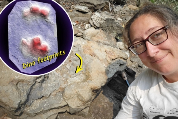 Canadian scientists discover fossils of rare dinosaur footprints.