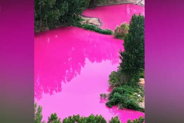 Pink Pond Discovered in Henan Village Resembles Being Filled with Lots of Paint