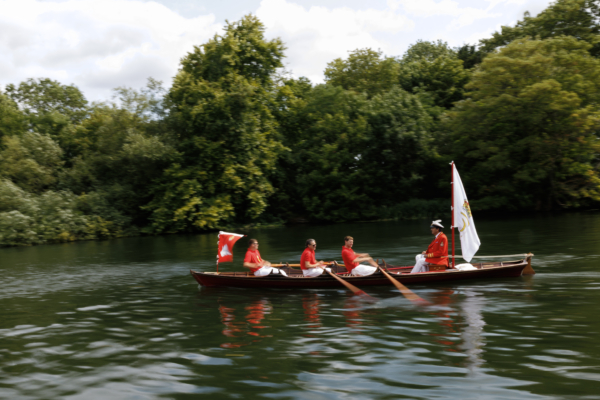 Continuation of Tradition: UK Conducts Annual Survey of Thames River Swans