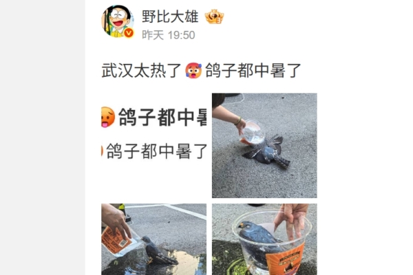 Wuhan’s Highest Temperature Surpasses 40°C – “Wuhan Is Suffering from Heatstroke”