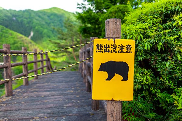 Bear Sighting Forces Cancellation of Opening Day of Japanese Golf Tournament