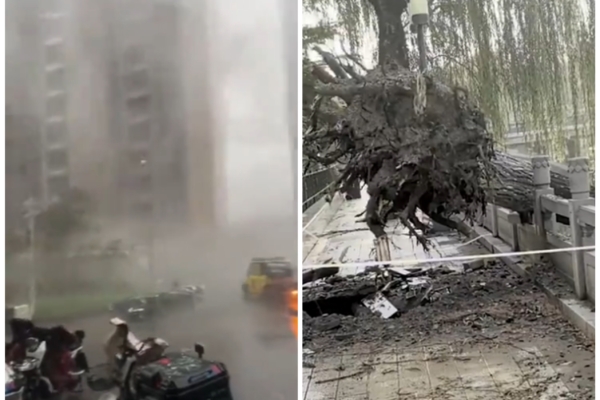 “Fierce Storm Hits, Jinan, Several Large Trees Uprooted, Cars Damaged”