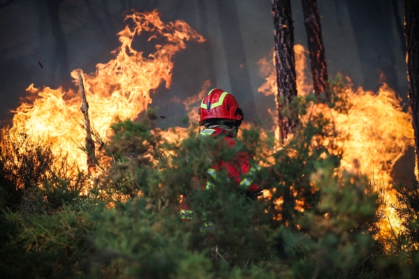 Photo Collection: Wildfires Raging in Multiple Areas, Portugal Enters High Alert State