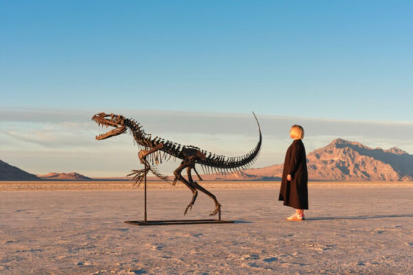 Sotheby’s to Auction Only Juvenile Fossil Specimen of Late Jurassic Ceratopsian Dinosaur