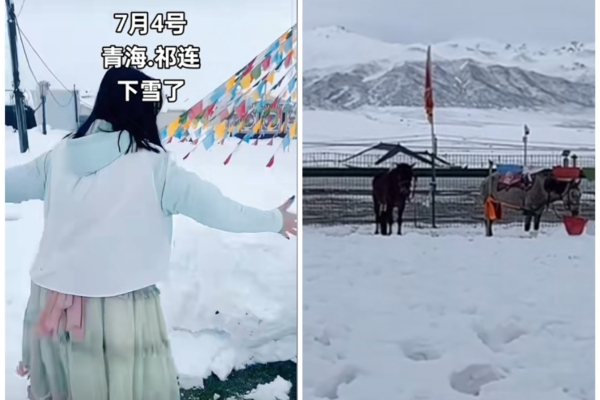 July Snowfall Turns the Qilian Grassland in Qinghai White Overnight