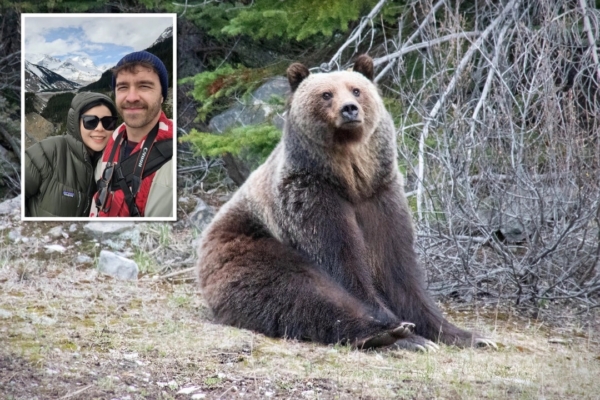 Photo Series: Photographer Encounters Grizzly Bear in the Rocky Mountains