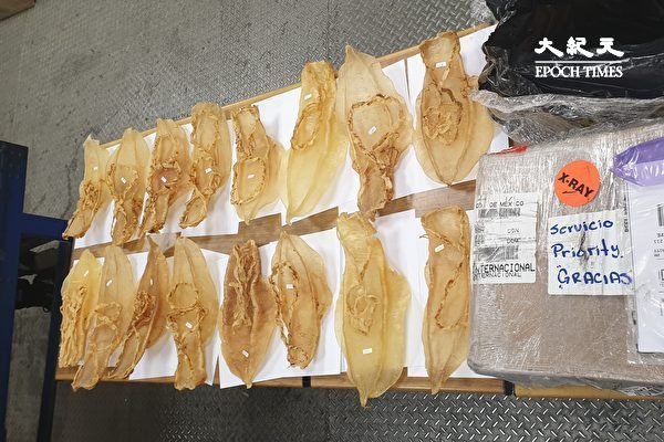 Mexico lifts ban, allows export of totoaba swim bladders to China