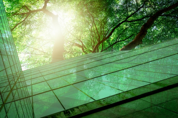 Swiss new living building material can capture carbon and photosynthesis.