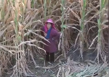 China issues 150 high-temperature red alerts in one day on August 5th.