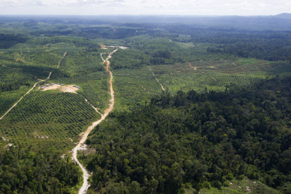 Indonesian Helicopter Goes Missing 8 Minutes After Takeoff, 8 People’s Whereabouts Unknown